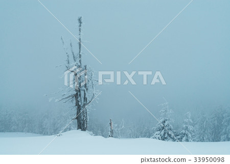 Fantastic winter landscape Fantastic winter landscape 33950098