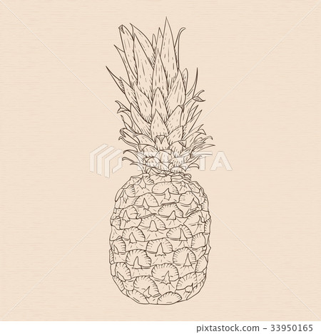 Pineapple. Hand drawn sketch on beige background Pineapple. Hand drawn sketch on beige background 33950165