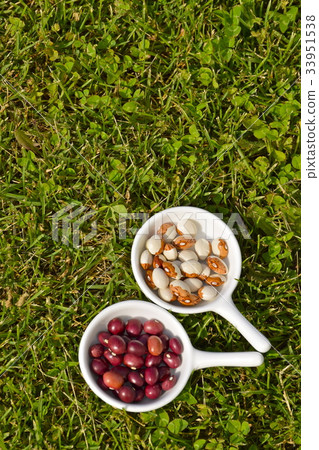 Two types of beans - Stock Photo [33951538] - PIXTA