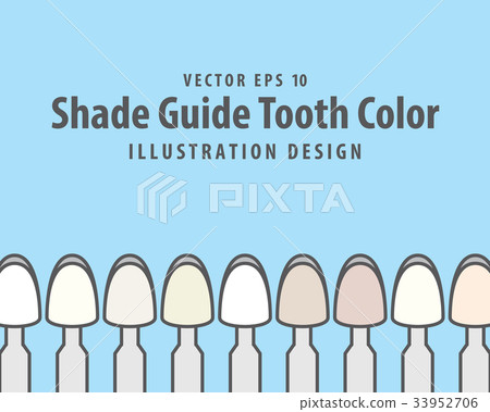 Shade Guide Tooth Color illustration vector Shade Guide Tooth Color illustration vector 33952706