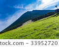 Oyama 33952720