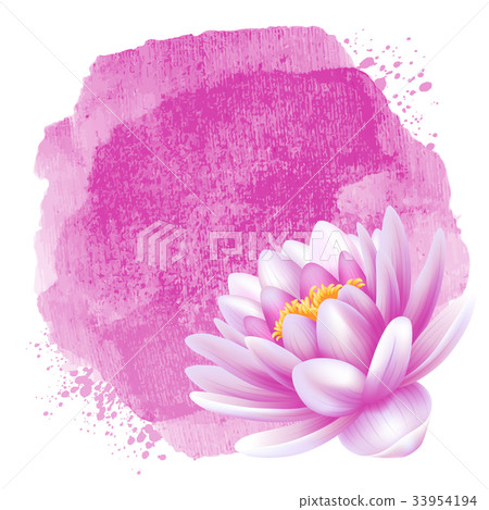 Water lily Water lily 33954194