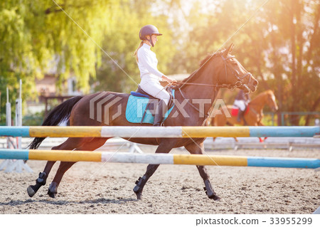 Young girl on bay horse galloping on her course 33955299