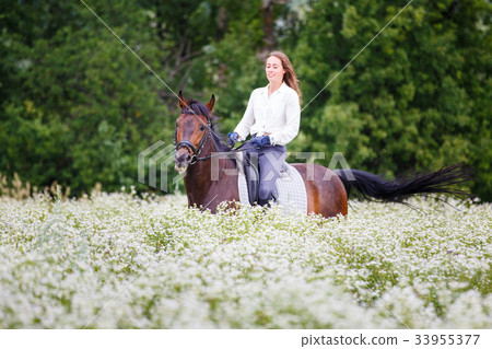 Young girl with long hair riding horse on field Young girl with long hair riding horse on field 33955377