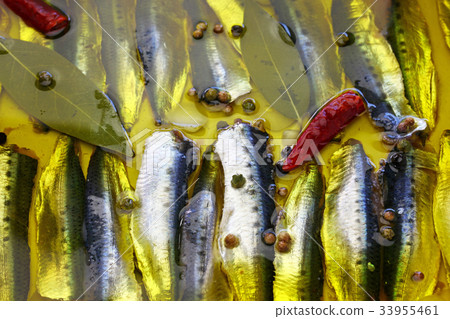 醃製沙丁魚 33955461
