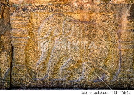 Elephant sculptures of Polonnaruwa in Sri Lanka Elephant sculptures of Polonnaruwa in Sri Lanka 33955642