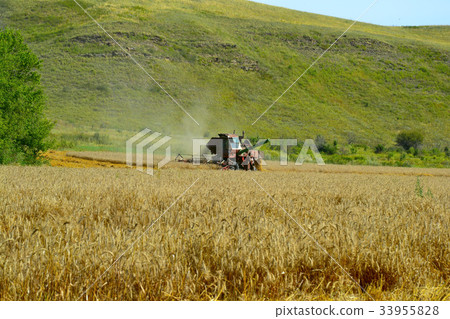 Harvester machine workin Harvester machine workin 33955828