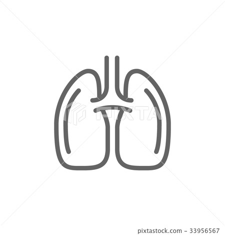 Simple lungs line icon. Symbol and sign vector Simple lungs line icon. Symbol and sign vector 33956567