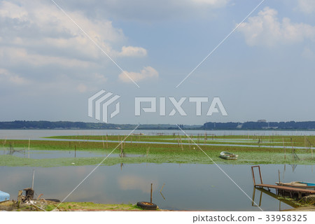 Inba-numa風景在夏天 33958325