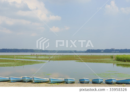 Inba-numa風景在夏天 33958326