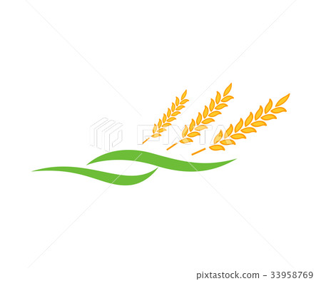 Agriculture wheat Logo Template vector icon design Agriculture wheat Logo Template vector icon design 33958769