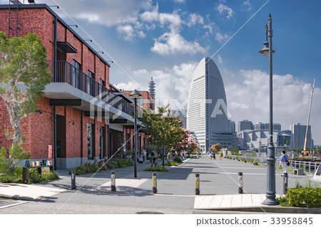 馬林和步行橫濱 33958845