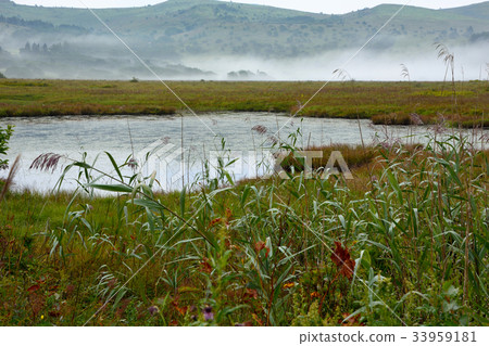 Yashima沼澤地風景在早期的秋天 33959181