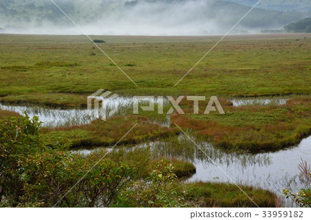 Yashima沼澤地風景在早期的秋天 33959182