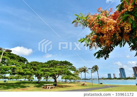 夏威夷的假期 夏威夷的假期 33961172