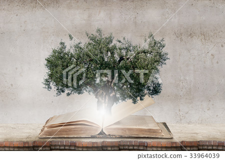 Reading develops imagination 33964039