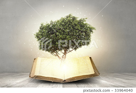 Reading develops imagination Reading develops imagination 33964040
