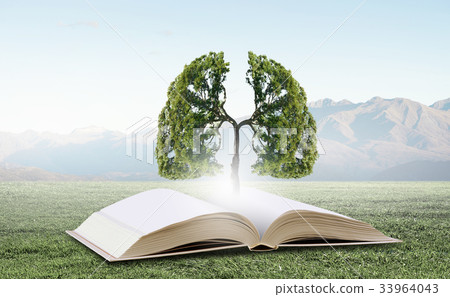 Reading develops imagination Reading develops imagination 33964043