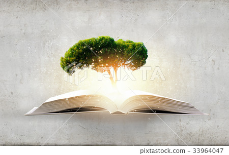 Reading develops imagination Reading develops imagination 33964047
