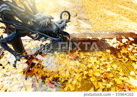 Japanese garden of fallen leaves 33964102