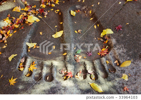 Fallen leaves and Buddha footstone 33964103