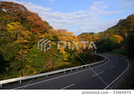 Shikomagawa Valley Futtsu City Chiba Prefecture Maple Road 33964979
