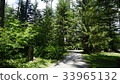 vancouver, park, parks 33965132