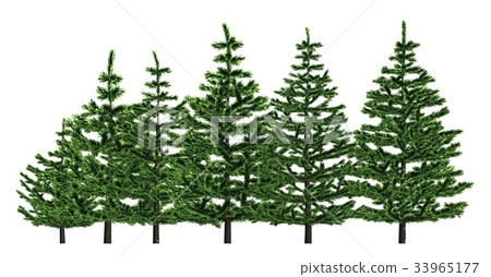 Group of trees isolated on white 3d illustration 33965177