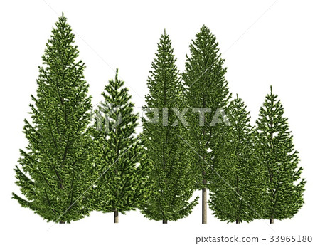 Group of trees isolated on white 3d illustration Group of trees isolated on white 3d illustration 33965180