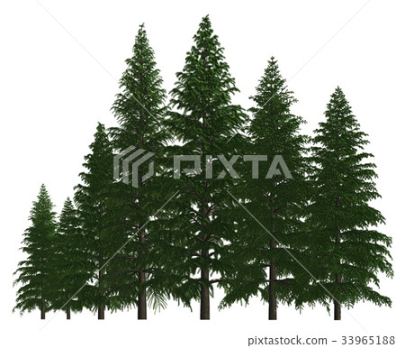 Group of trees isolated on white 3d illustration Group of trees isolated on white 3d illustration 33965188