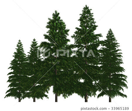 Group of trees isolated on white 3d illustration Group of trees isolated on white 3d illustration 33965189