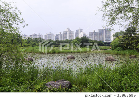 湖公園,一山,高陽市,京畿道 湖公園,一山,高陽市,京畿道 33965699