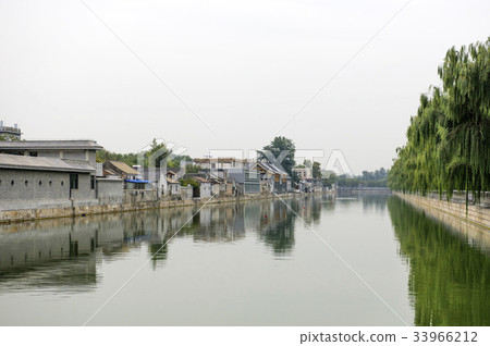 Willow, Beijing, China Willow, Beijing, China 33966212