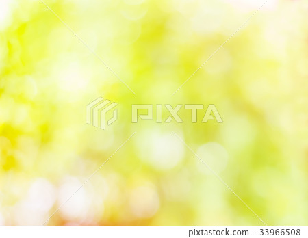 Abstract Bokeh of tree color for background 33966508