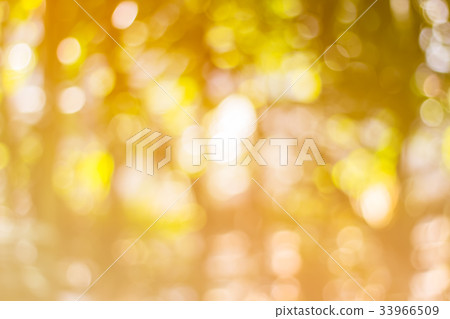 Abstract Bokeh of tree color for background Abstract Bokeh of tree color for background 33966509