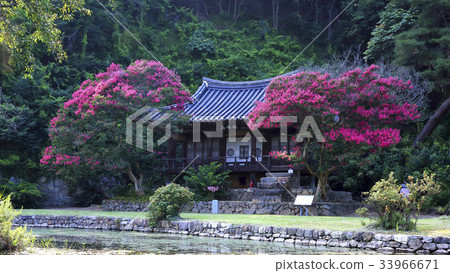 Bongnyeong, Checheongjeong, Andong, Gyeongbuk Bongnyeong, Checheongjeong, Andong, Gyeongbuk 33966671