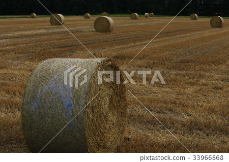 Grass roll 33966868