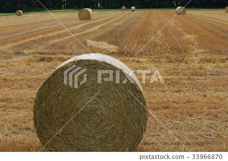 Grass roll Grass roll 33966870