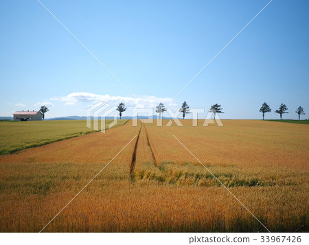 童話山 童話山 33967426