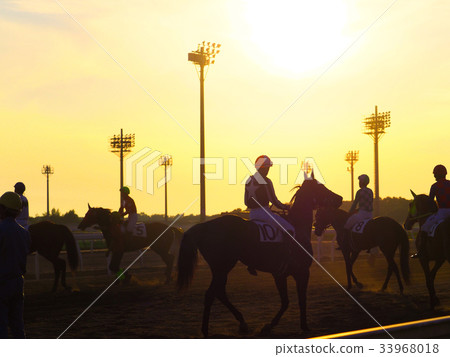 賽馬場馬 賽馬場馬 33968018