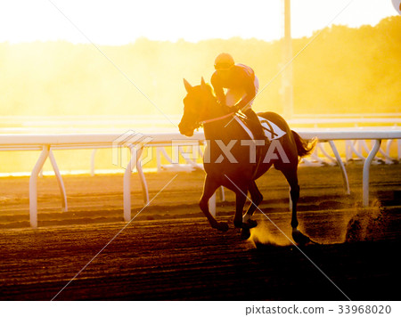 賽馬場馬 賽馬場馬 33968020