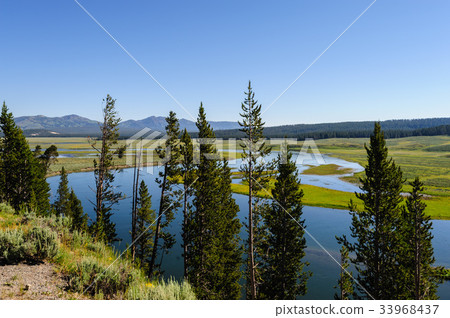 Hayden Valley in Yellowstone National Park 33968437