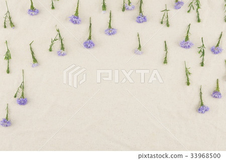 Purple cutter flowers pattern on white muslin  33968500