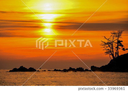 Pine, Myeongseon-do, Ulju-gun, Ulsan 33969361