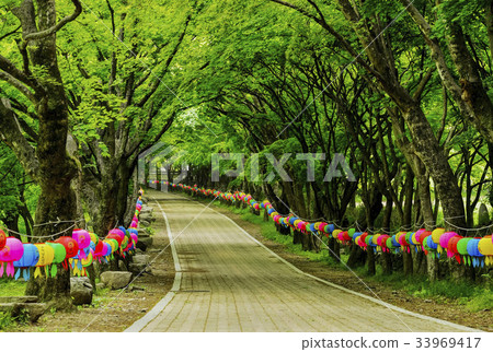 Yeonpyeong, Seongeumsan, Jeongeup, Jeonbuk Yeonpyeong, Seongeumsan, Jeongeup, Jeonbuk 33969417
