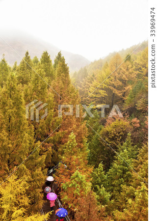 Changtasan Recreational Forest, Seo-gu, Daejeon 33969474
