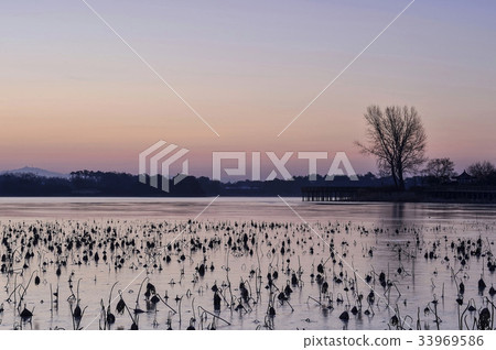 Rajeong Reservoir, Gimje City, Jeonbuk Province 33969586