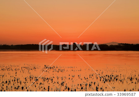 Rajeong Reservoir, Gimje City, Jeonbuk Province 33969587
