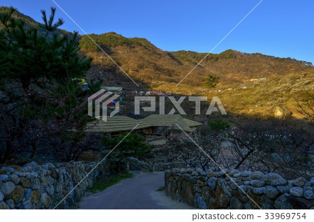 Plum, Plum Village, Gwangyang, Jeonnam 33969754