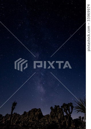 Joshua Tree and Milky Way 3 33969974